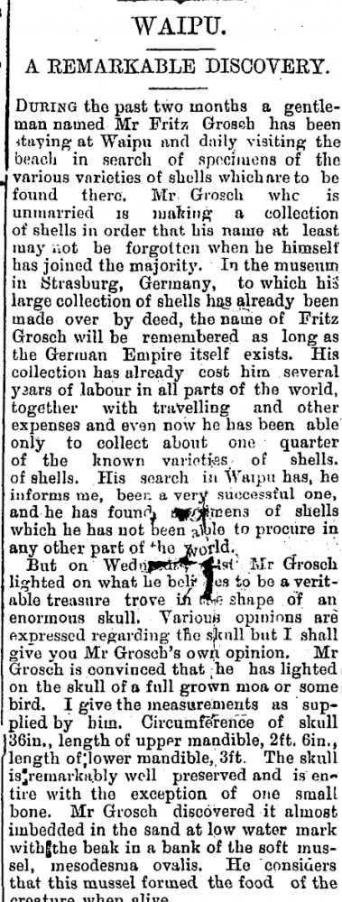 A remarkable discovery | A remarkable discovery
Country
Northen Advocate
11 June 1892
Page 5
National library New Zealand
