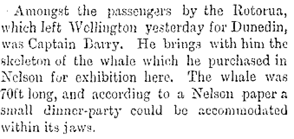 A whale exhibition | Otago Daily times
June 21, 1883