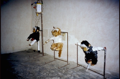All is going according to plan | Myriam Laplante, installation/performance, 2003