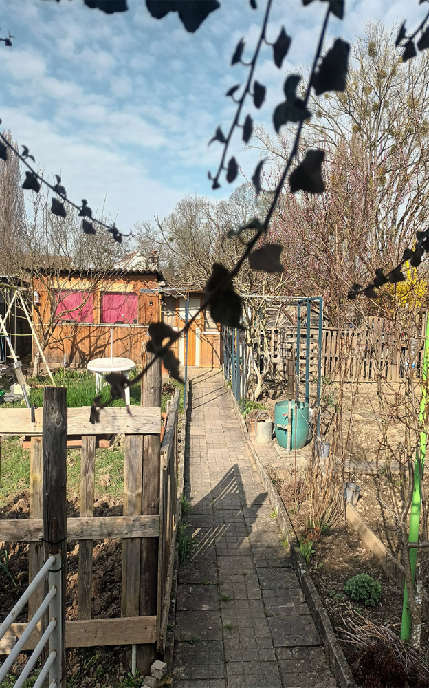 Allée n°45 | Photographie de l'allée du jardin familial n°45, Mardi 10 mars 2026