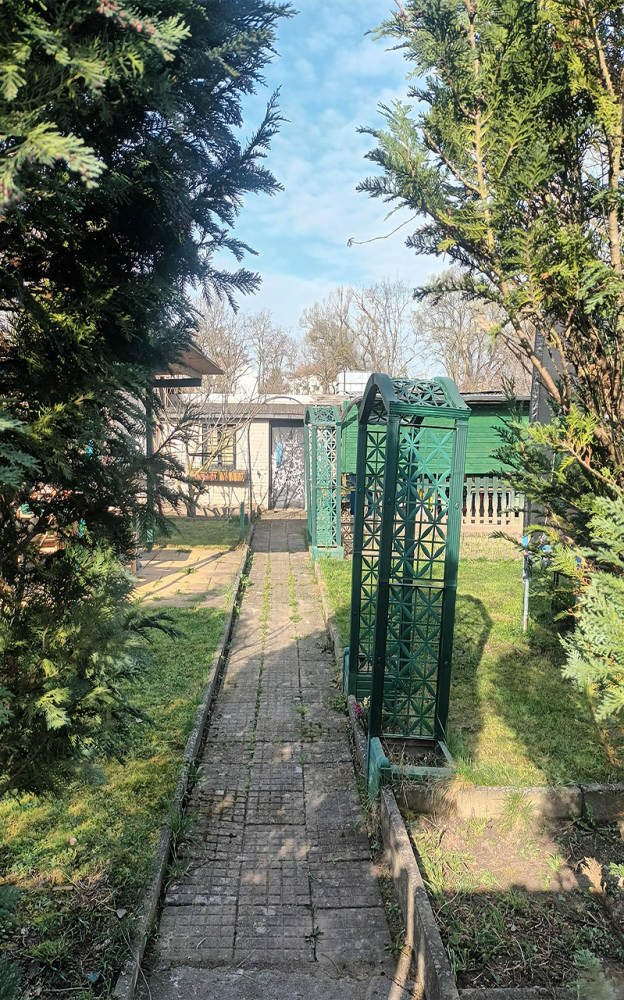 Allée n°44 | Photographie de l'allée du jardin familial n°44, Mardi 10 mars 2026