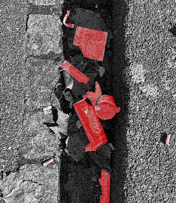 Amas de déchets | Amas de déchets retrouvés sur la route proche de commerces