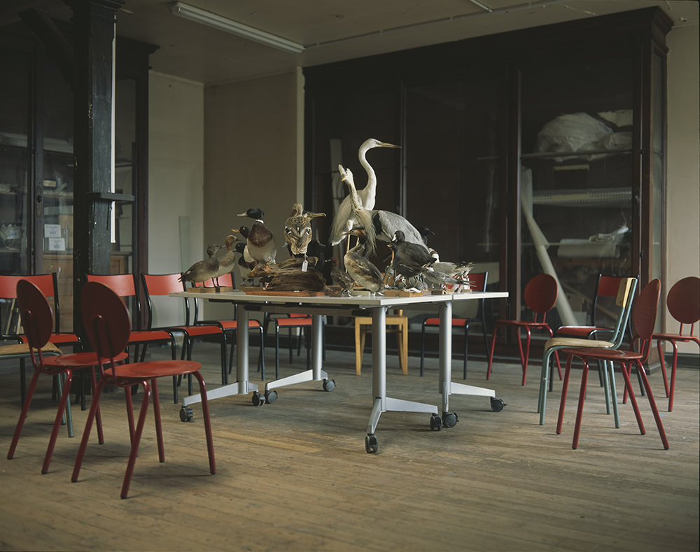 Silent spring | Silent Spring,
Vincent Chevillon,
Photographie
78,69 x 62,04 cm