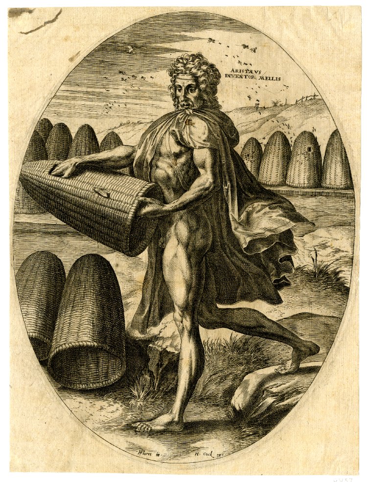 Aristaeus Inventor Mellis | Jérôme Cock, Aristaeus Inventor Mellis, 1550