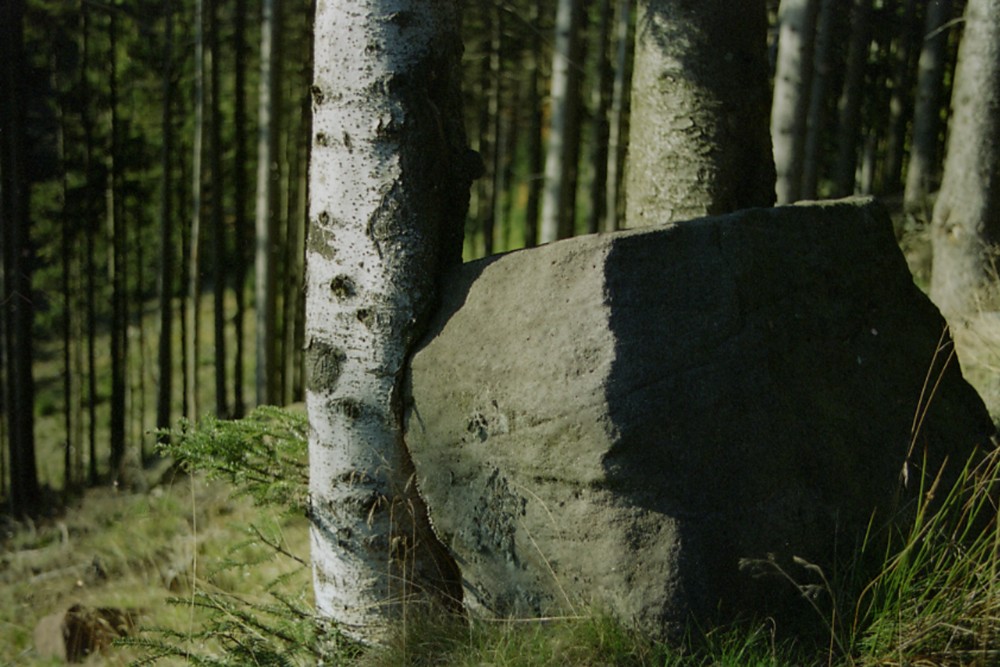 Backing | Backing, Marion Cros, 2011