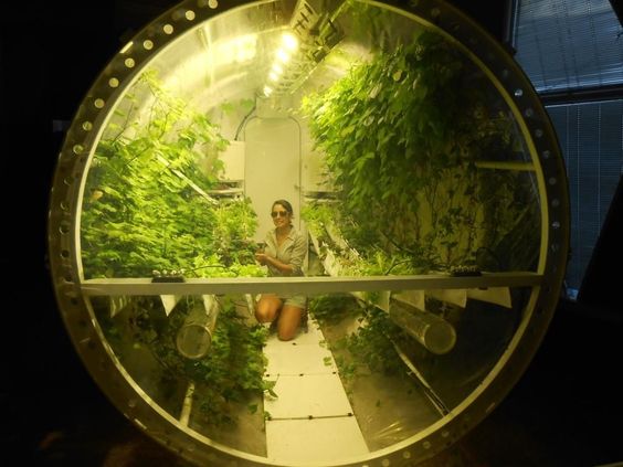 A greenhouse 4 Mars - permaculture/bioponie | 