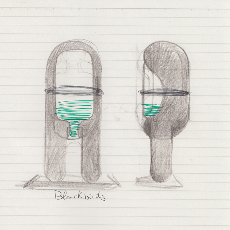 Blackbirders | Vincent Chevillon, Blackbirds, 2015