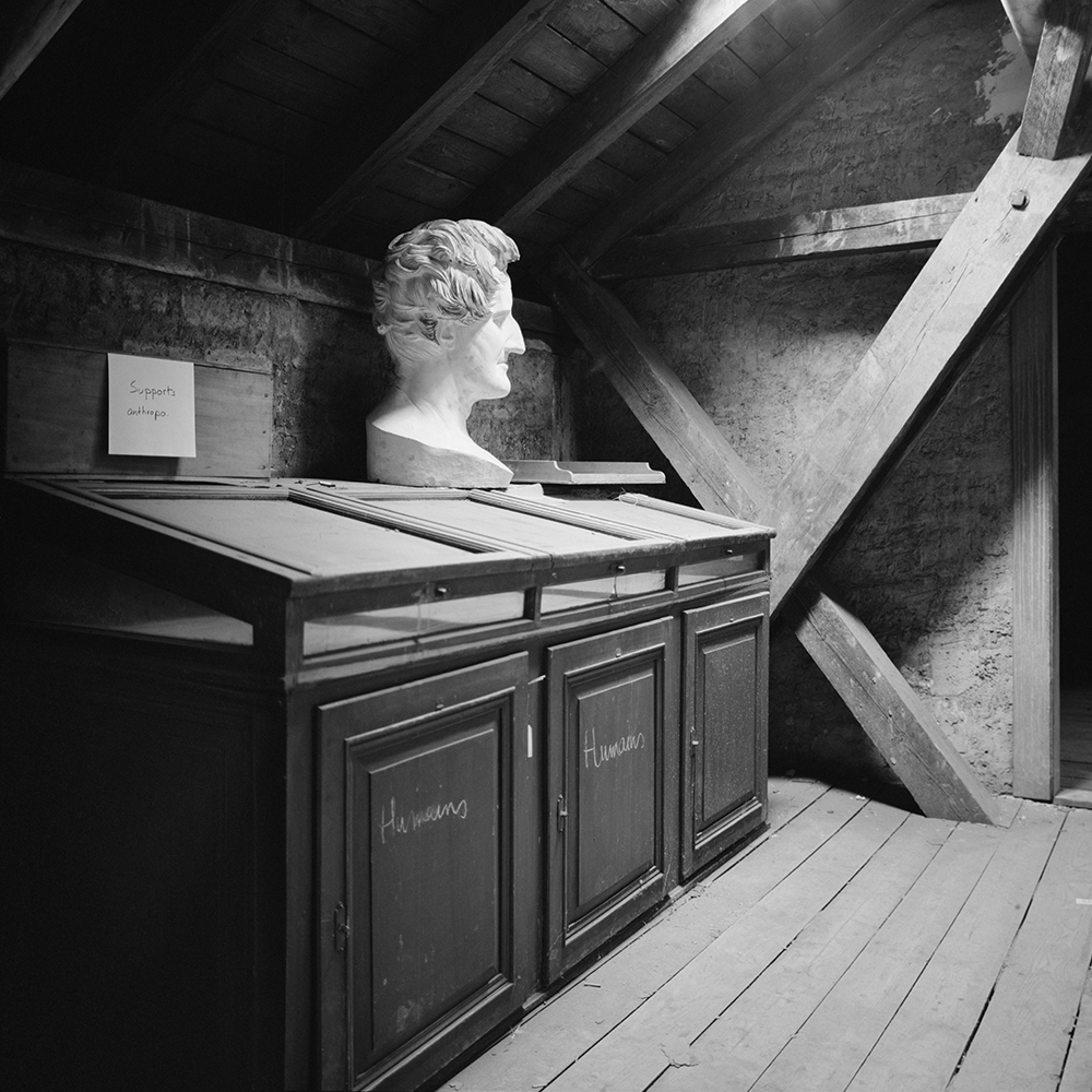 Humains | Buste de Cuvier dans la salle des réserves
Collection du musée zoologique de Strasbourg
Ph. Vincent Chevillon
2019