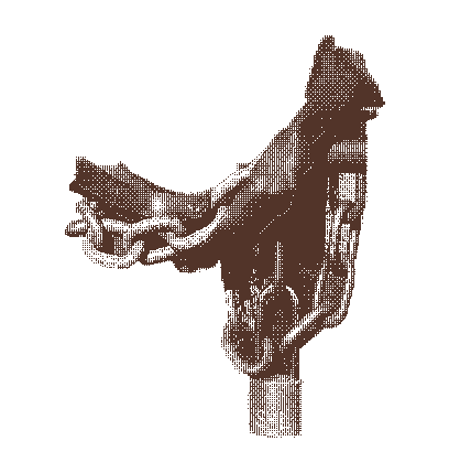 Cadenas du portail 43 | Bitmap du cadenas du portail 43, Mars 2026