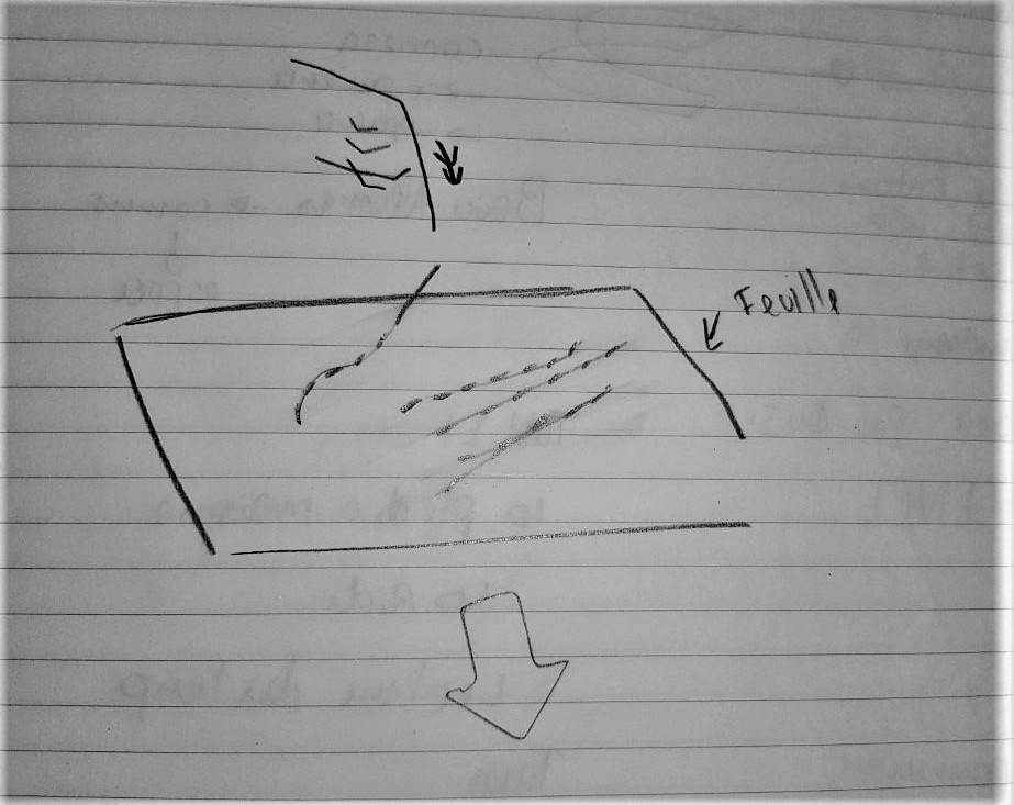 carnet de recherche bis | 