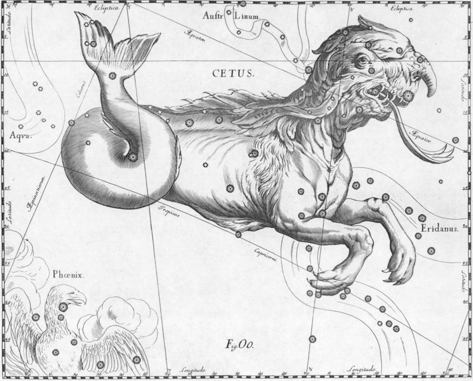 Cetus | The Cetus constellation
by Johannes Hevelius
from Uranographia
Atlas Coelestis