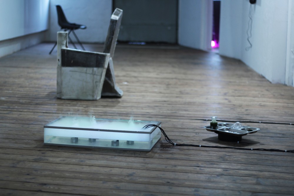 "Chlorellis", vue d'exposition, 2021 | &quot;Chlorellis&quot;, vue de l'exposition collective &quot;Je file, bon courage, à bientôt !&quot;, Syndicat Potentiel, 2021, Alexis Puget