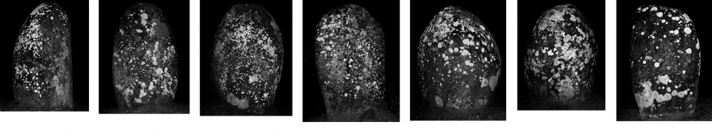 Constellées | Constellées, tirages argentiques, 39x50cm, 2008.