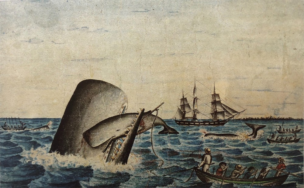 Cradle in her jaws | A mother sperm whale rears from the sea to cradle her mortally wounded calf in her jaws in this mid-19th Century watercolor. On occasion, whalemen would harpoon a baby whale, hoping to lure the fiercely protective mother into range.