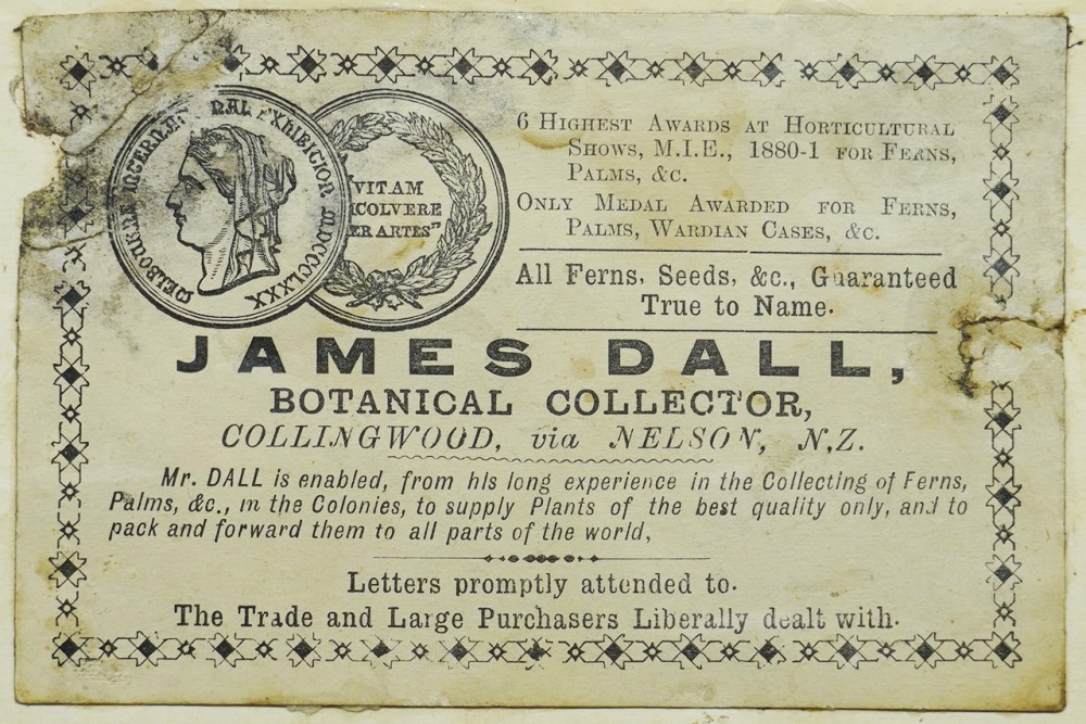 Dall's label | Dall's label
Paper
4 X 7 cm