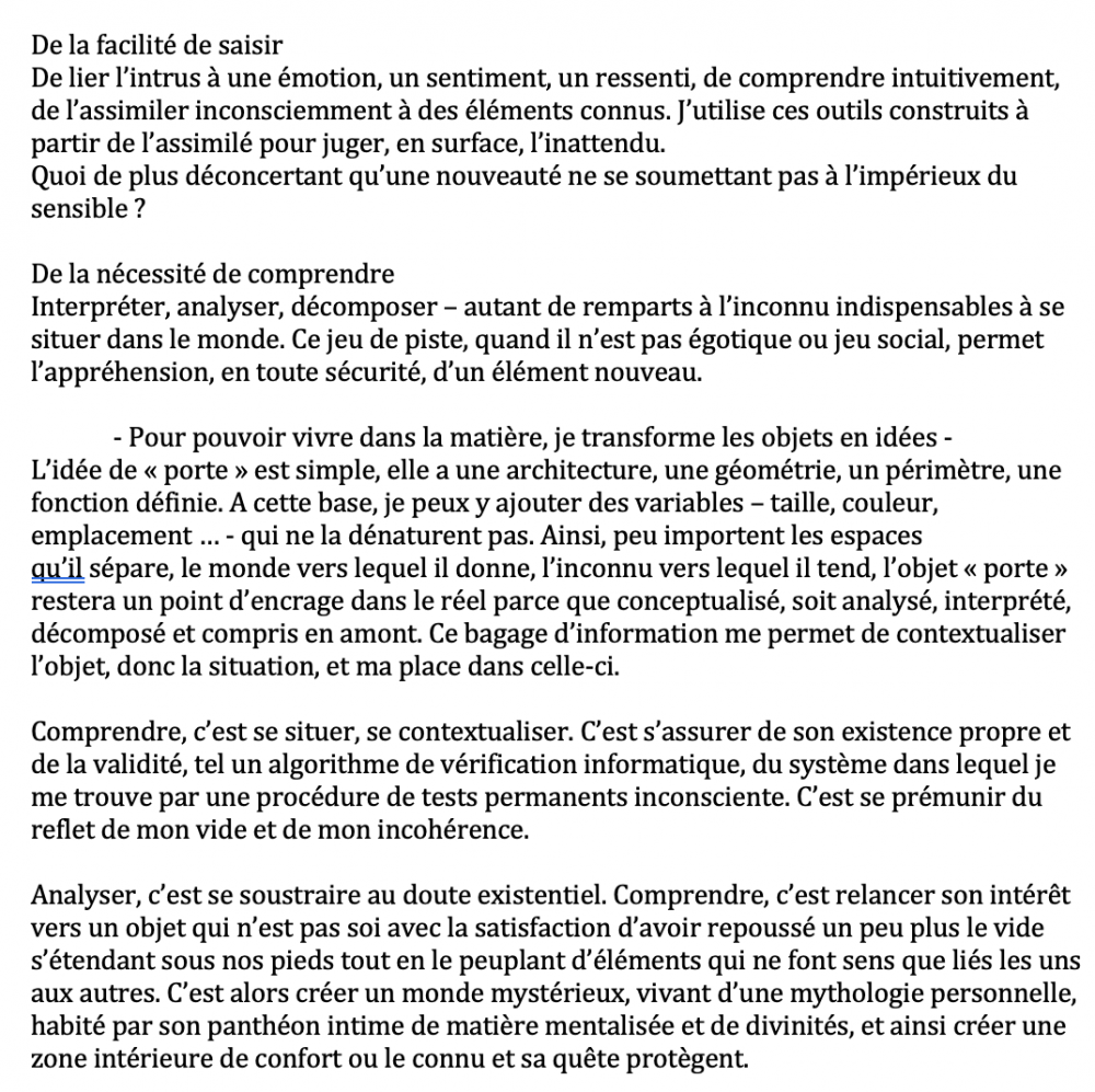 De la facilité de saisir, de la nécessité de comprendre | &quot;Comprendre, c'est se prémunir du reflet de mon vide et de mon incohérence.&quot;