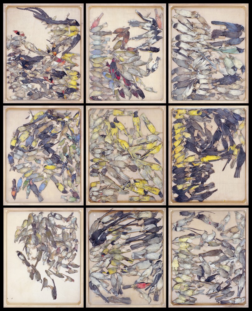 Dead Stars 1 | Dead Stars
Vincent Chevillon
Caisson lumineux en 4 parties
113,03 x 138, 84 cm
Ensemble des 4 caissons : 226,06 x 277,68 cm
2021