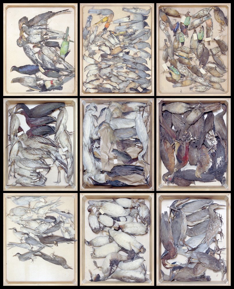 Dead Stars 4 | Dead Stars
Vincent Chevillon
Caisson lumineux en 4 parties
113,03 x 138, 84 cm
Ensemble des 4 caissons : 226,06 x 277,68 cm
2021