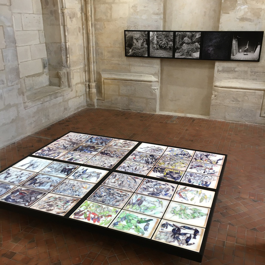 Dead stars (Exposition) | Dead stars
Vincent Chevillon
36 photographs
4 elevated ligth boxes
40 x 226,06 x 277,68 cm