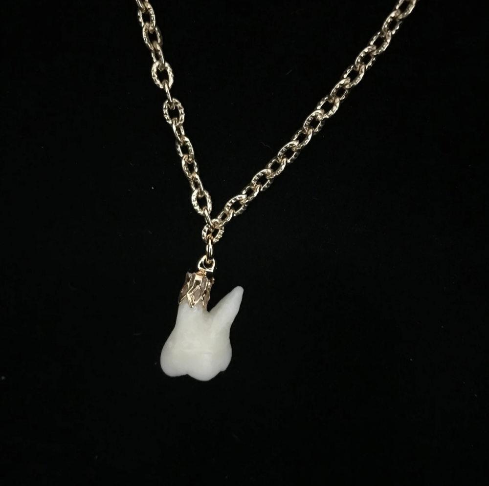 Dent humaine en solitaire | 