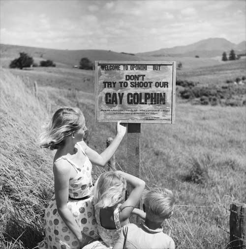 Don't try to shoot our gay dolphin | Eric Lee-Johnson
Coll. Museum of New Zealand Te Papa Tongarewa