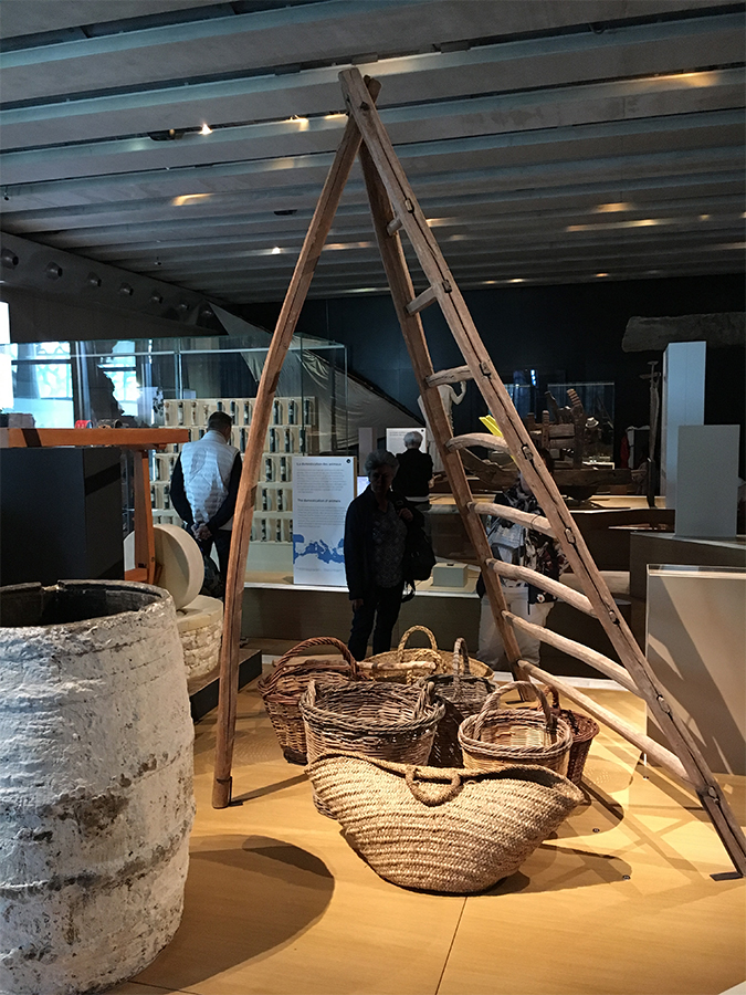 Echelle | Collection du Mucem,
Exposition Ruralités,
Commissariat Ed. de Laubrie