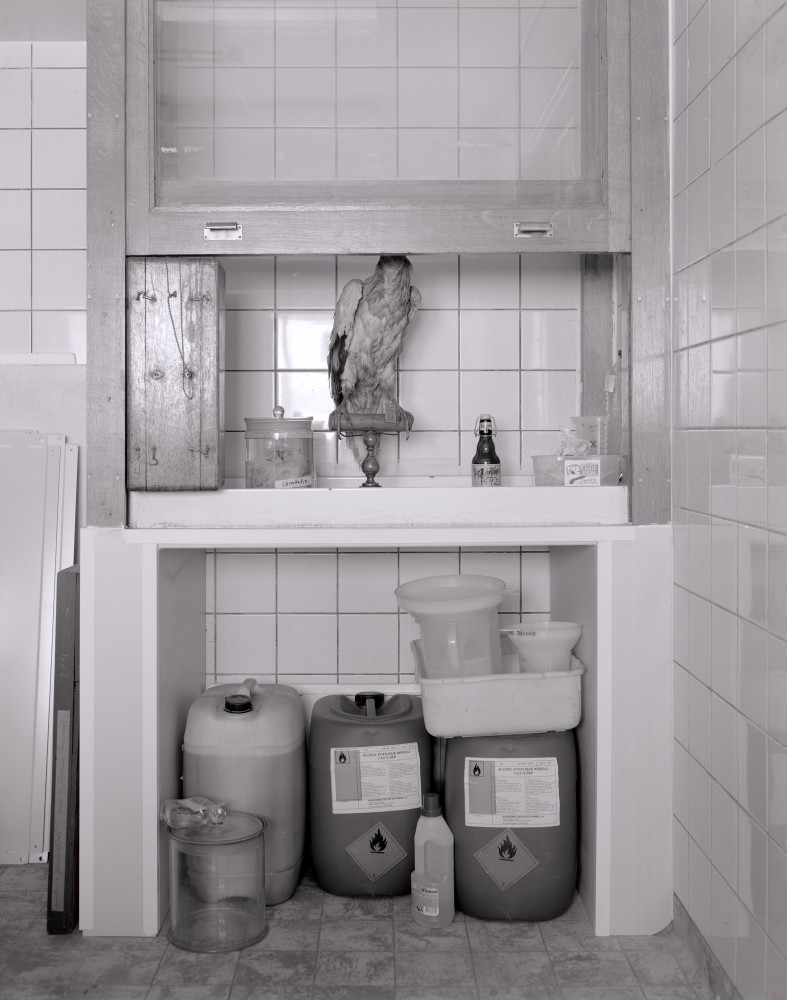 Nature of Empire | Nature of Empire,
Vincent Chevillon