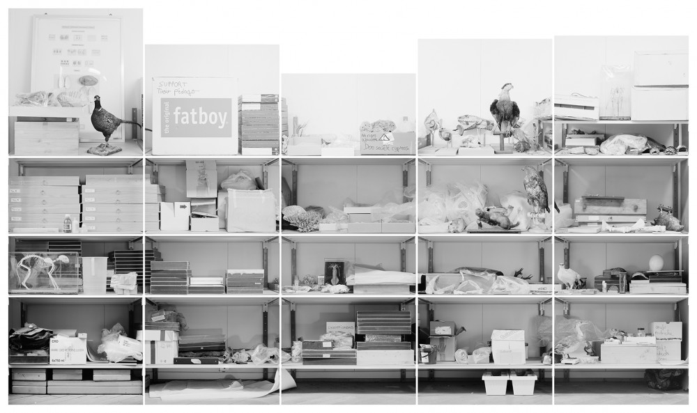 Fatboy | Lisières,
Vincent Chevillon,
Photographie
167 x 99 cm