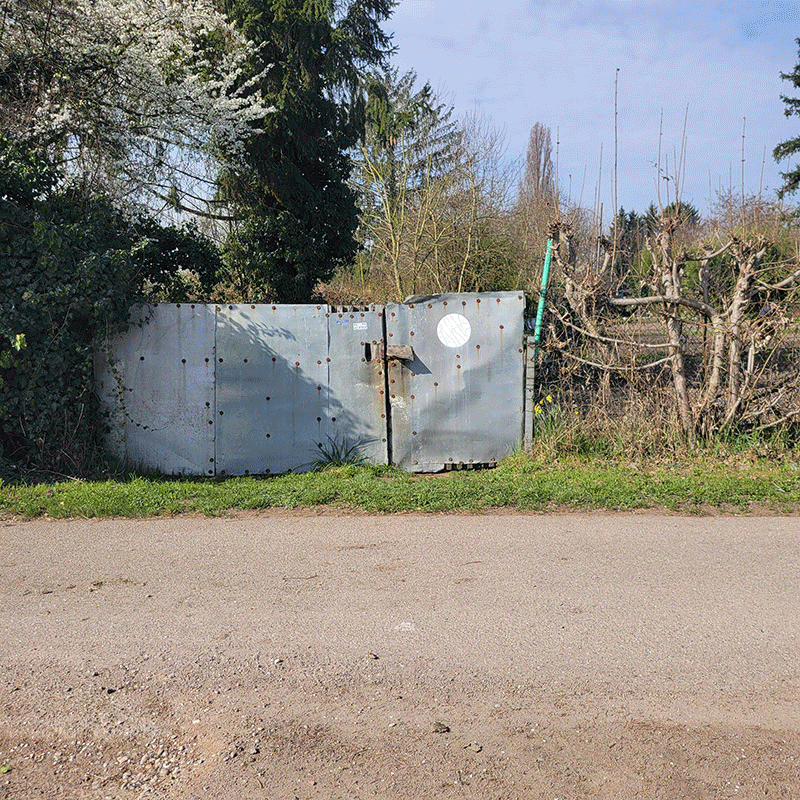 frontière de jardin | 
