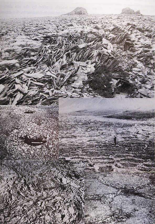 Gélifract | Gélifraction, 1950, scheteligfjellet (presqu'île de Brögger, Spitsberg)