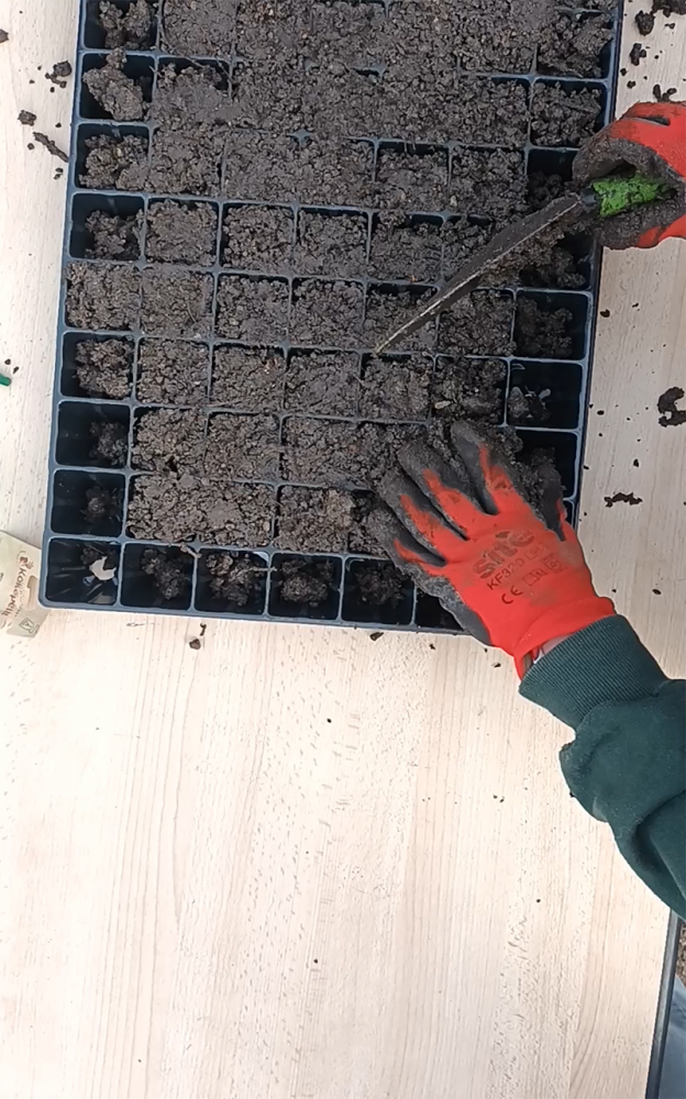 Gestes#3 | Photographie de remplissage des semis, Vendredi 6 mars