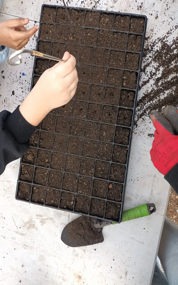 Gestes#4 | Photographie des gestes pour planter les graines, Vendredi 6 mars