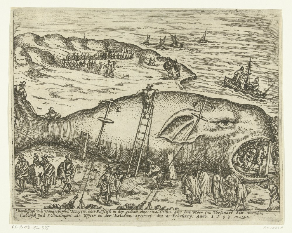 Gestrande walvis bij Berckhey 2 | Anonyme
Gravure
Papier
22,7 cm × 29,1 cm