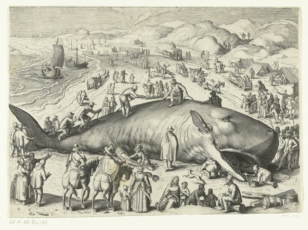 Gestrande walvis bij Berckhey, Version 2 | anonymous
Kopie van de gestrande walvis bij Berckhey van 1598 als de walvis gestand bij Noordwijk in 1614, after Jacob Matham, after Hendrick Goltzius, 1614 - 1615