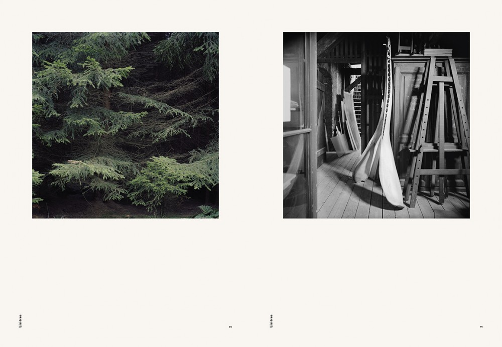 Heart of Darkness | Extrait du livre Lisières
Pétrole éditions
88 pages - 52 photographies
Format : 32 x 23 cm
Impression offset quadrichromie + ton direct
500 exemplaires