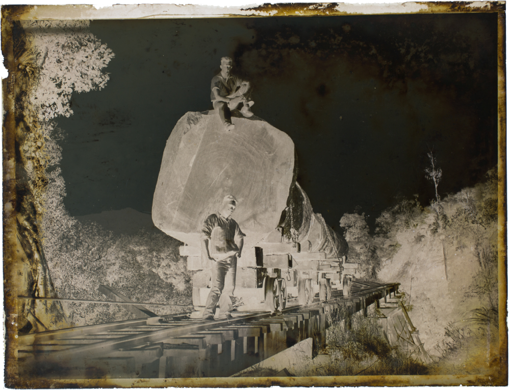 Highway to hell | Two men next to large Kauri logs
Collins, Tudor Washington, 1898-1970, photographer
Silver gelatin dry plate