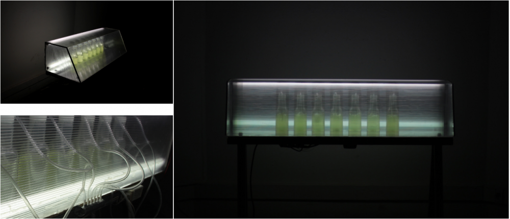 "Il faudra bien manger sur Mars - Serre.n1_Prototype.1.1" | &quot;Il faudra bien manger sur Mars - Serre.n1_Prototype.1.1&quot;, photobioréacteur, polycarbonate, néons, Chlorella Vulgaris, Alexis Puget, 2021
