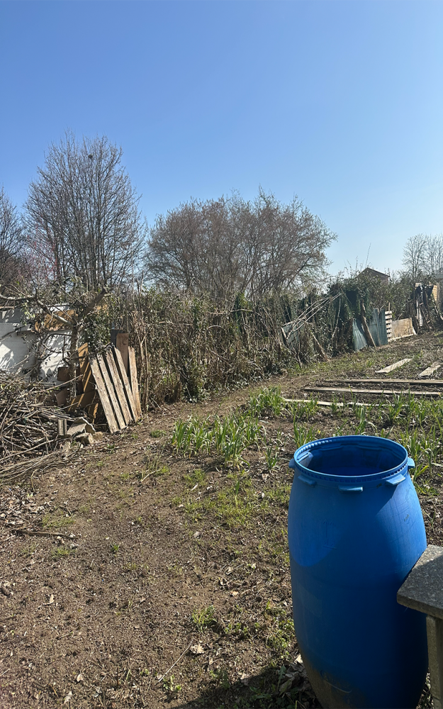 Jardin de André#1 | Photographie du jardin de André, Mardi 10 mars 2026