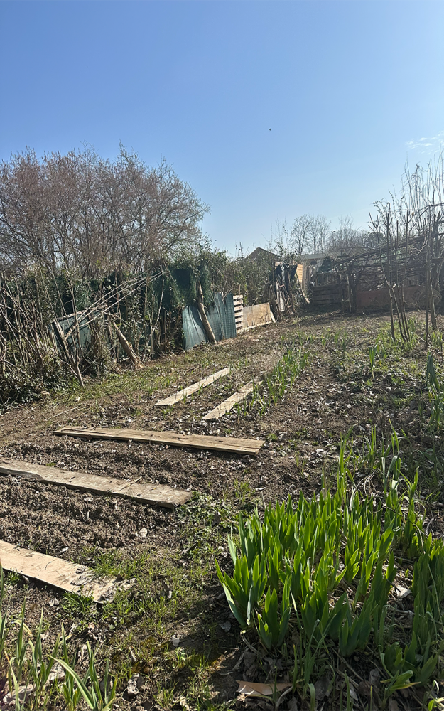Jardin de André#4 | Photographie du jardin de André, Mardi 10 mars 2026