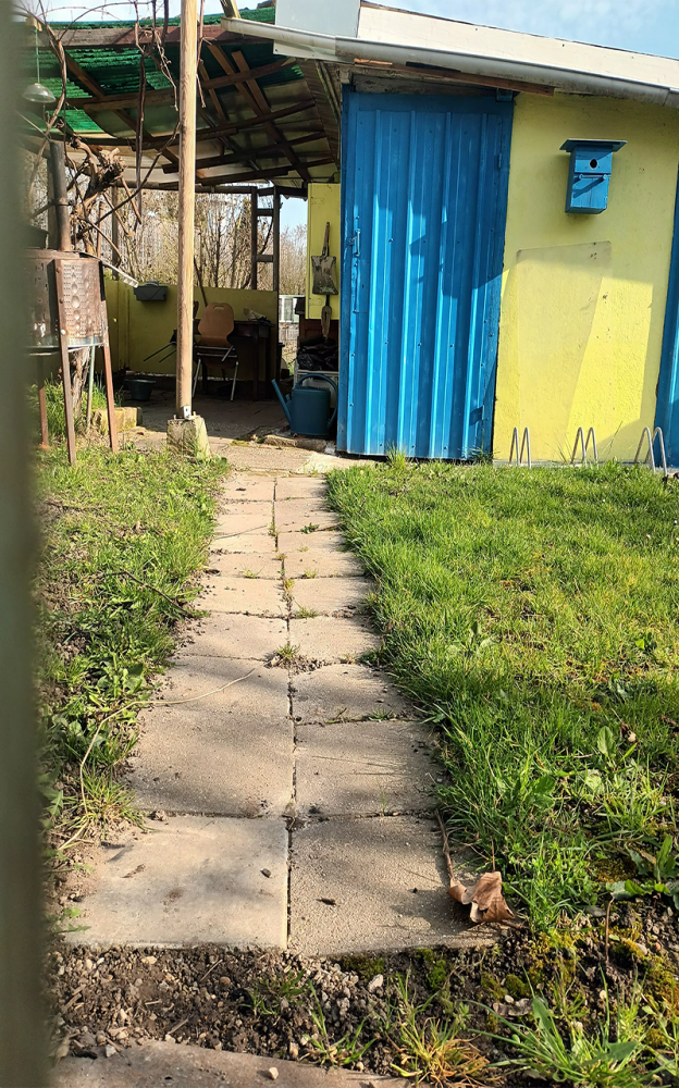 Allée#1 | Photographie de l'allée d'un jardin familial, Mardi 10 mars 2026