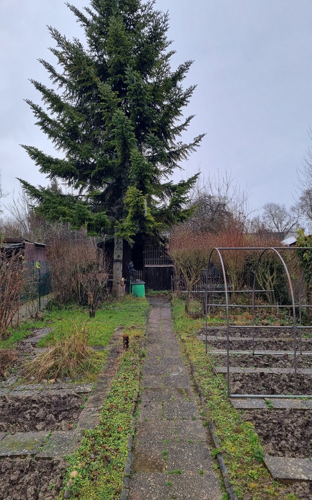 Jardins familiaux, passerelles | Visite des jardins familiaux, jeudi 12 février 2026