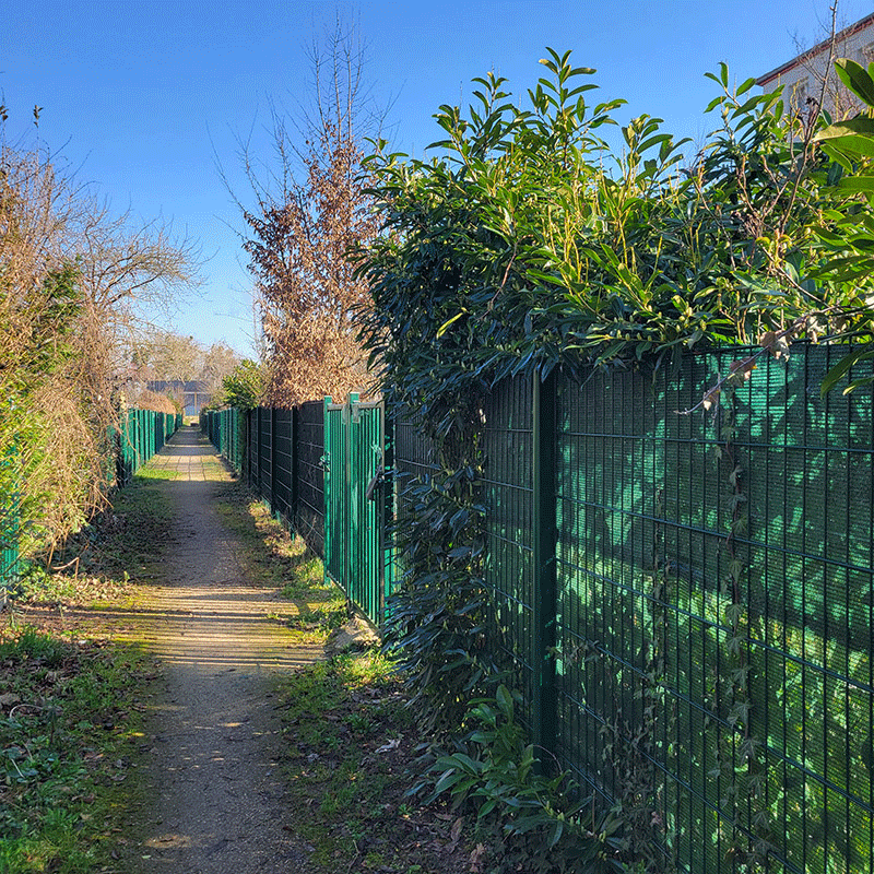 Jardins partagés 6 | Zoom