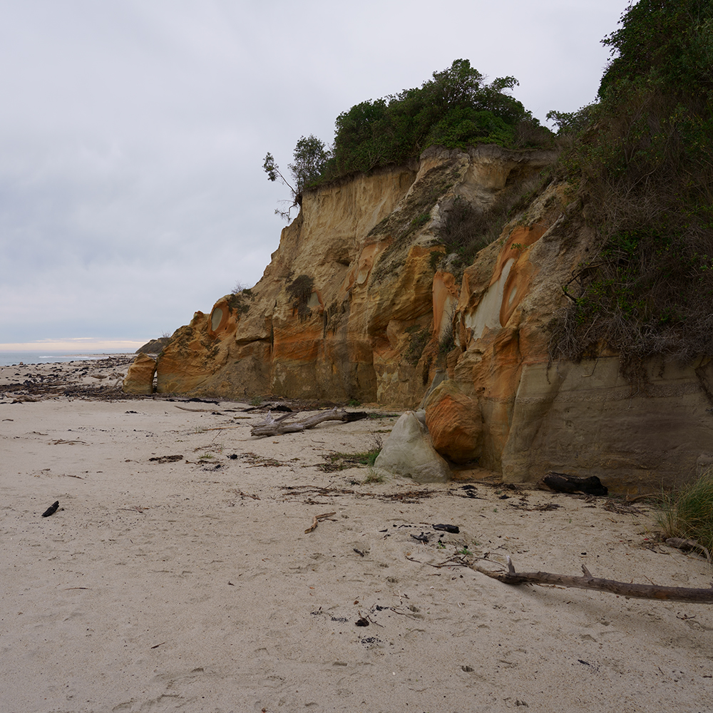 Kaitangata | BALAENOPTERA MUSCULUS
1873
Kaitangata