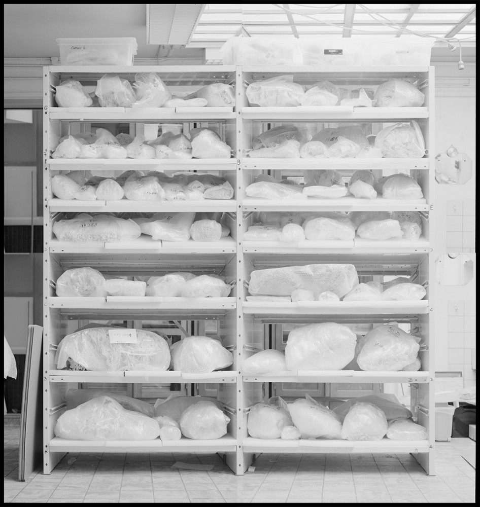 La Grande Barrière | La Grande Barrière
Montage photographique
Vincent Chevillon
2020