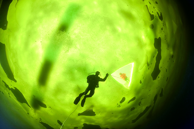 Les couleurs de la Mer Blanche | http://subaqua.ffessm.fr/dossier/les-couleurs-de-la-mer-blanche/