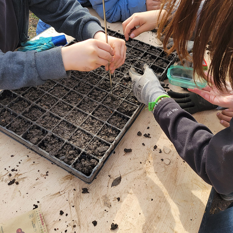 Les usages de la ferme | 