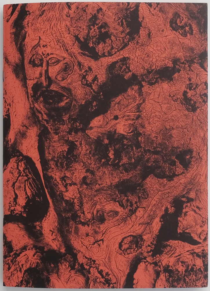 Lisières | Lisières
(Couverture)
Vincent Chevillon
Livre
23,4 cm x 32,4 cm
88 pages
Pétroles éditions
2022