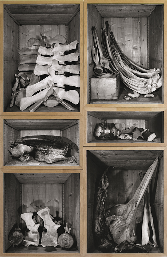 Lord of the Pit | Vincent Chevillon
Lord of the Pit
Polyptyque
Photographies encadrées
200 × 120 cm