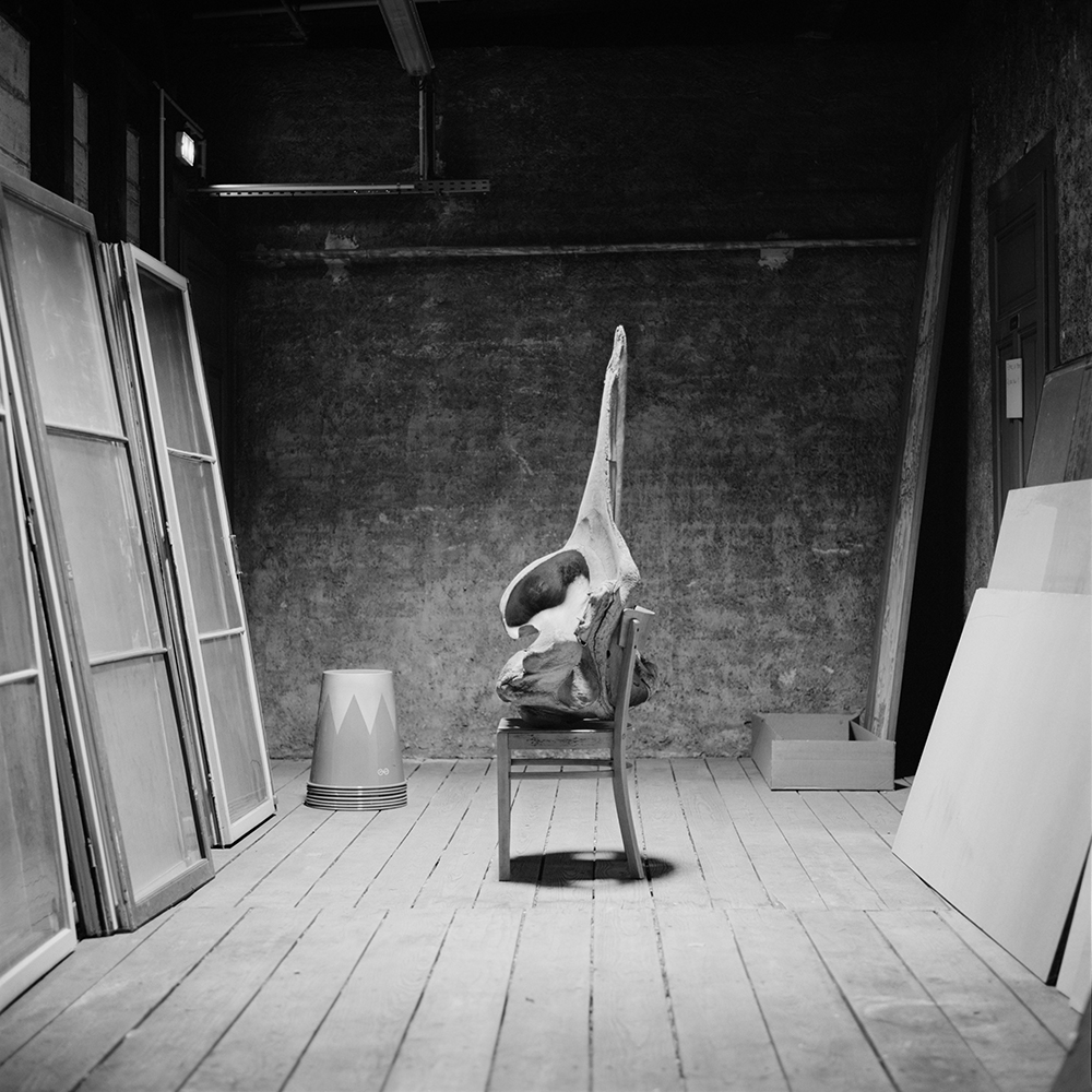 Lord | Lisières,
Vincent Chevillon,
Photographie
62,5 x 62,5 cm