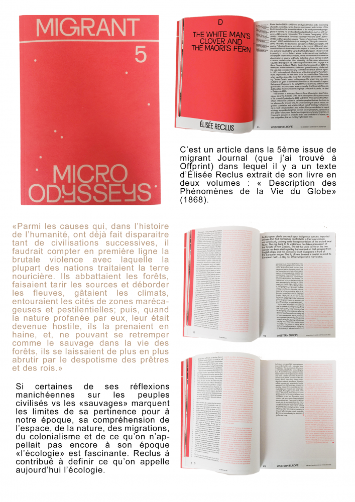 Migrant | Clara Noseda